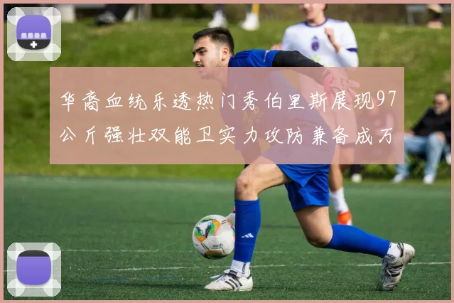 华裔血统乐透热门秀伯里斯展现97公斤强壮双能卫实力攻防兼备成万金油之选